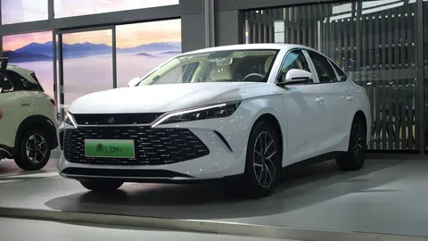 BYD відкликає 183 211 авто через дефект обмежувача педалі гальма