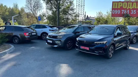 Внутрішні перепродажі в Україні: середній вік 16 років проти 8,8 року в імпорті